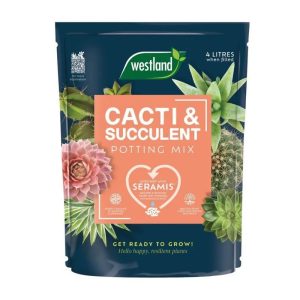 Westland Cacti & Succulent Potting Mix Peat Free 4L
