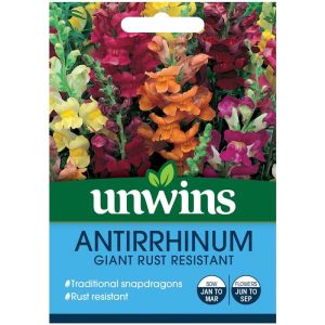 Antirrhinum Giant Rust Resistant