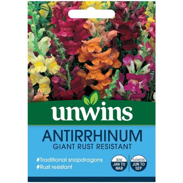 Antirrhinum Giant Rust Resistant