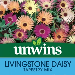 Livingstone Daisy Tapestry Mix