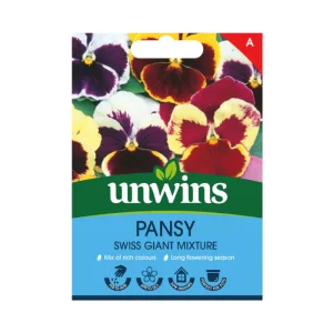 Pansy Swiss Giant Mix