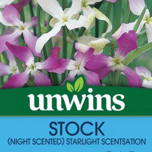 Stock Night Scented Starlight Scentsation