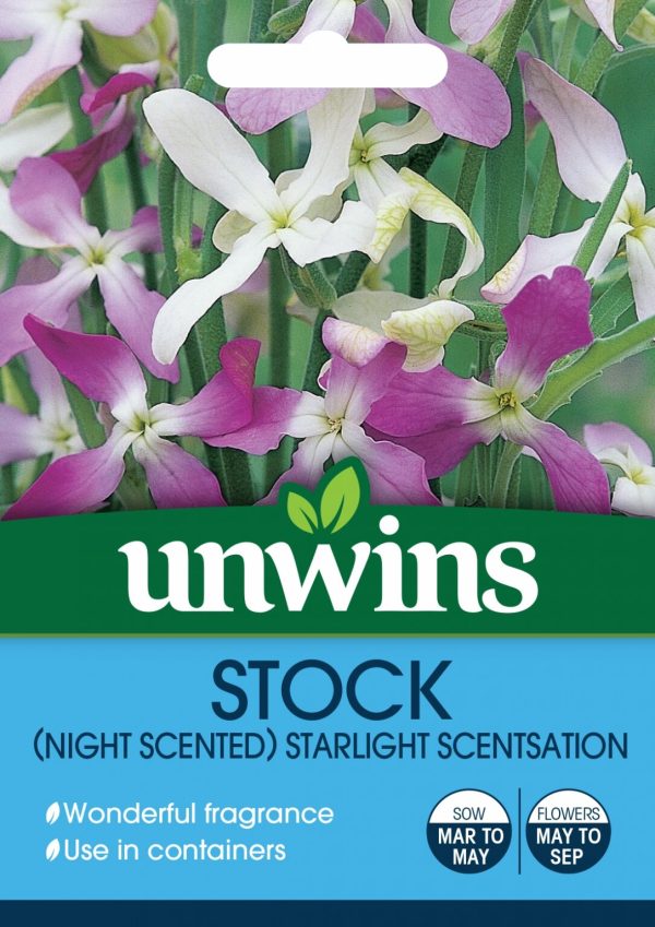 Stock Night Scented Starlight Scentsation