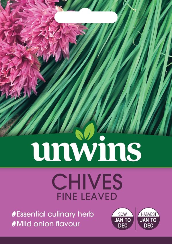 Herb Chives Fine Leaved