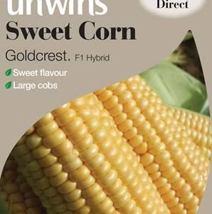 Sweet Corn Goldcrest F1