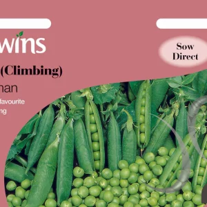 Pea (Climbing) Alderman