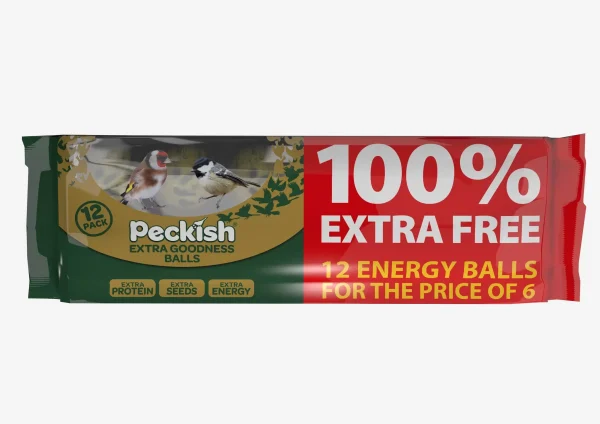PK Extra Goodness Energy Ball 6 Pack + 100% XF