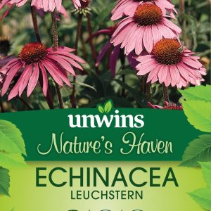 NH Echinacea Leuchstern