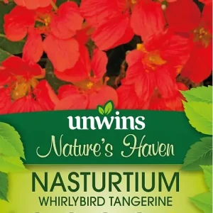 NH Nasturtium Whirlybrd TngrinFlower