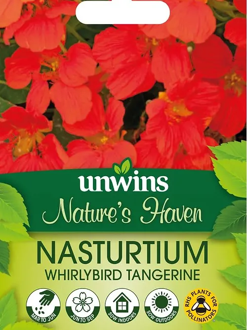 NH Nasturtium Whirlybrd TngrinFlower
