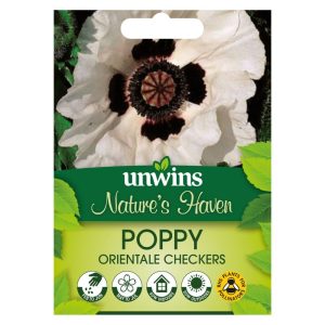 NH Poppy (orientale) CheckersFlower