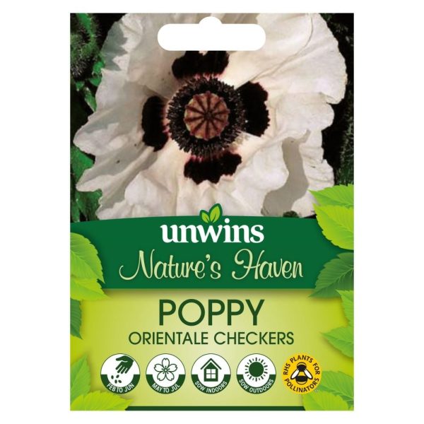 NH Poppy (orientale) CheckersFlower