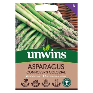 Asparagus Connover s Colossal