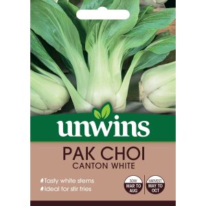 Pak Choi Canton White