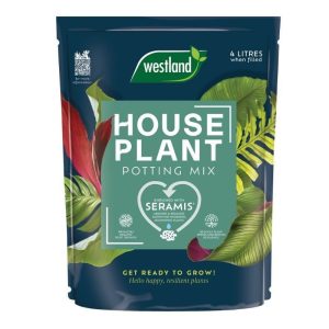 Westland Houseplant Potting Mix Peat Free 4L