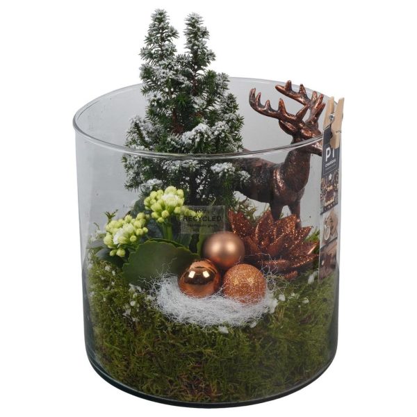 PTCHB9881 Arrangement Christmas Bronze in glass pot