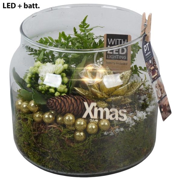 PTCHG5764 Arrangement Christmas Gold in glass pot