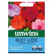 Busy Lizzie Bright Shades