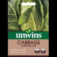 Cabbage (Pointed) Greyhound