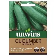 Cucumber (Mini) La Diva F1
