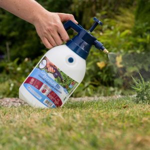 Flopro Pressure Sprayer 2ltr