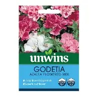 Godetia Azalea Flowered Mix