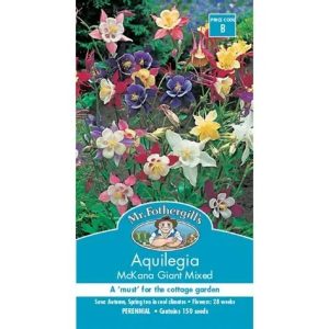 UK/FO-AQUILEGIA McKana Giant Mix
