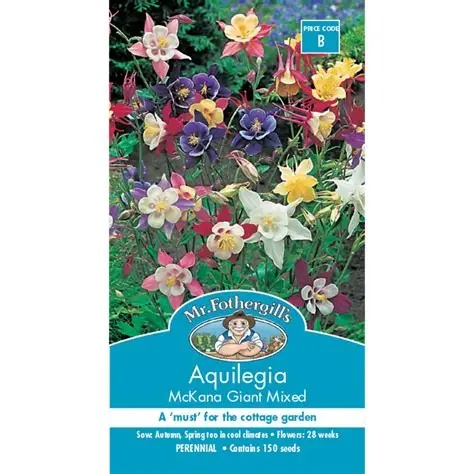 UK/FO-AQUILEGIA McKana Giant Mix
