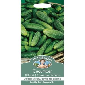 UK/FO-CUCUMBER (Gherkin) Cornichon de Paris