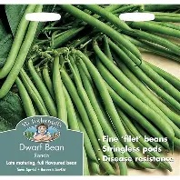 UK/FO-DWARF FRENCH BEAN Tendergreen