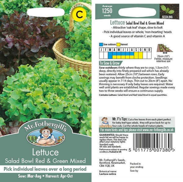 UK/FO-LETTUCE Salad Bowl Red & Green Mix