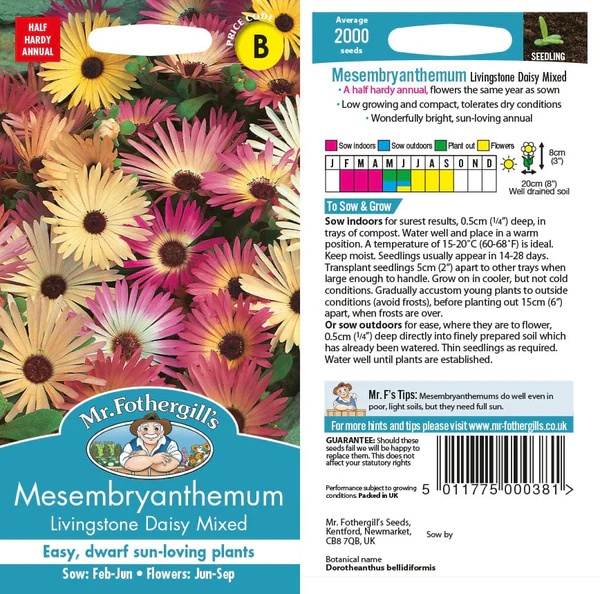 UK/FO-MESEMBRYANTHEMUM Livingstone Daisy Mix