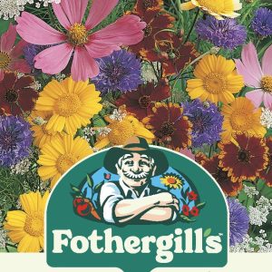 UK/FO-NH-WILDLIFE Attracting Garden Varieties Mix