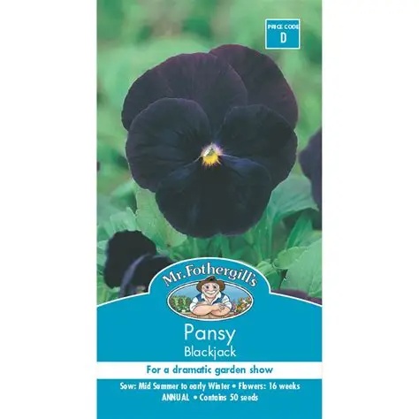 UK/FO-PANSY Blackjack