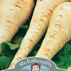 UK/FO-PARSNIP Gladiator F1