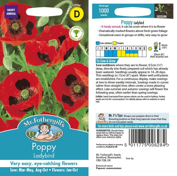 UK/FO-POPPY Ladybird