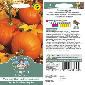 UK/FO-PUMPKIN Baby Bear