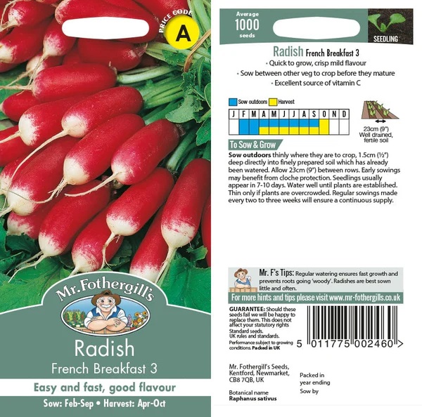 UK/FO-RADISH French Breakfast 3