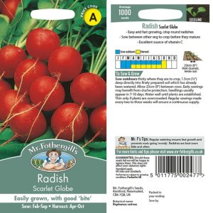 UK/FO-RADISH Scarlet Globe