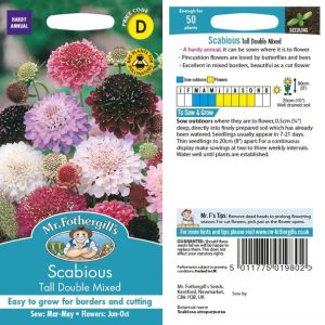 UK/FO-SCABIOUS Tall Double Mix