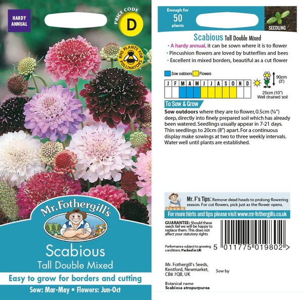 UK/FO-SCABIOUS Tall Double Mix