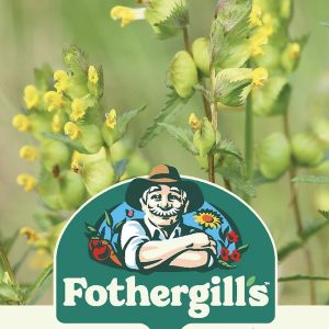 UK/FO-NH-Yellow Rattle