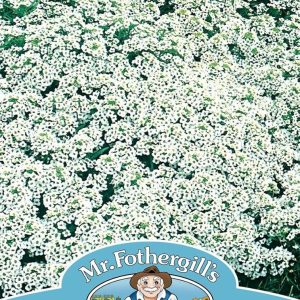 UK/FO-ALYSSUM Snow Cloth