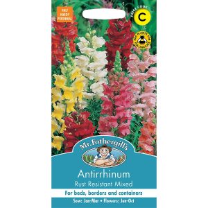 UK/FO-ANTIRRHINUM Rust Resistant Mix