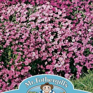 UK/FO-AUBRIETA Large Flowered Mix