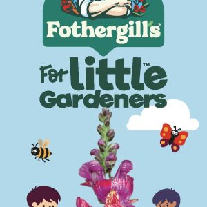 UK/FO-LG BABY SNAP DRAGONS LINARIA