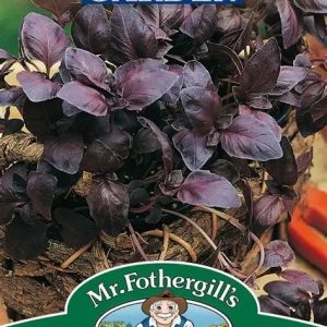UK/FO-BASIL Red Leaved