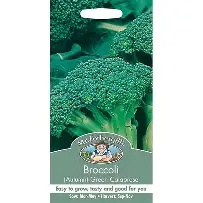 UK/FO-BROCCOLI (Autumn) Green Calabrese