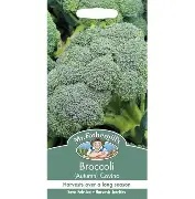 UK/FO-BROCCOLI (Autumn)  Covina