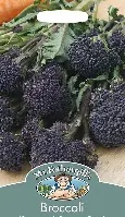 UK/FO-BROCCOLI (Sprouting) Summer Purple